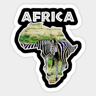 African Wildlife Continent Zebra Stripes Sticker